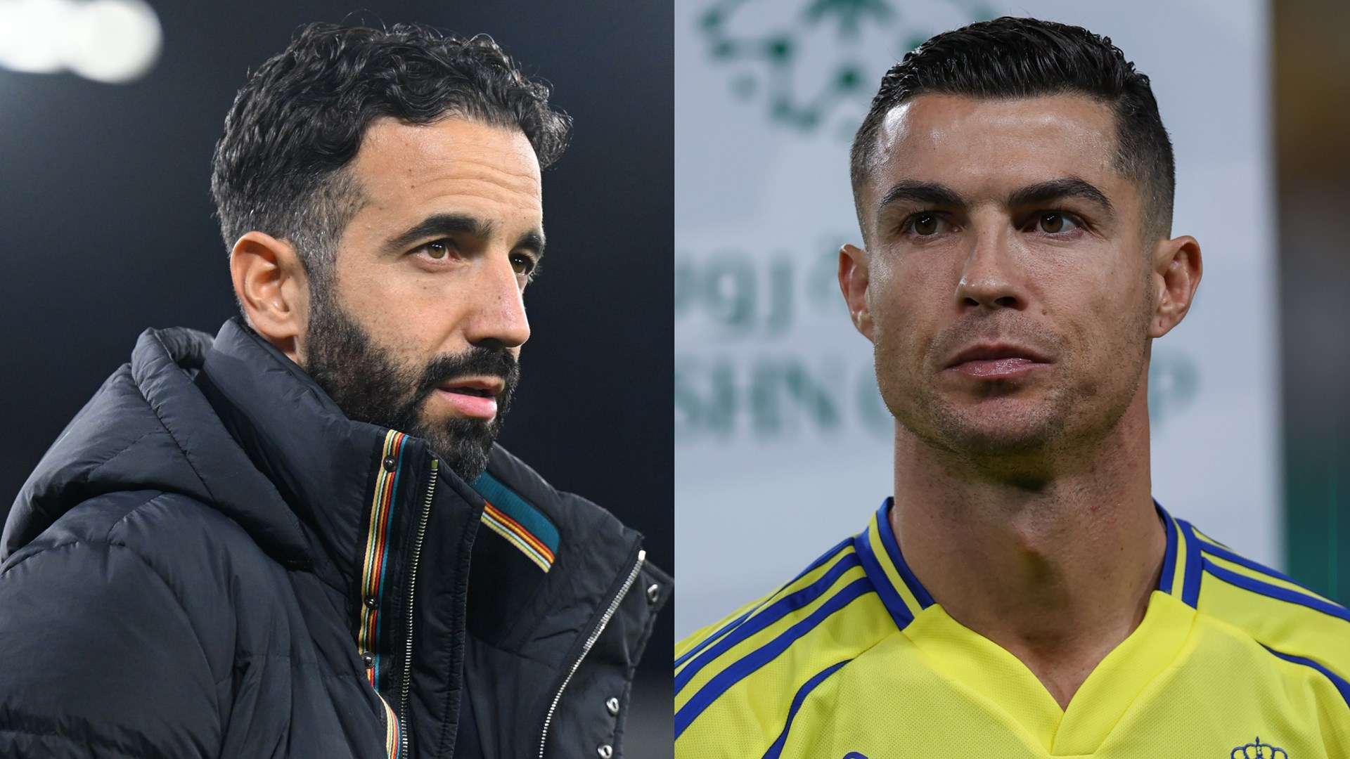 队友们的信 队友们的信